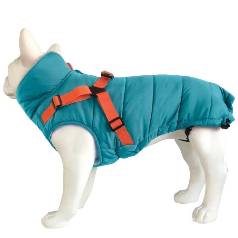 Попона для собак TRIOL Outdoor Active XXL, утепленная со шлейкой, бирюзовая, размер 45см — цена и наличие Попона для собак TRIOL Outdoor Active XXL, утепленная со шлейкой, бирюзовая, размер 45см