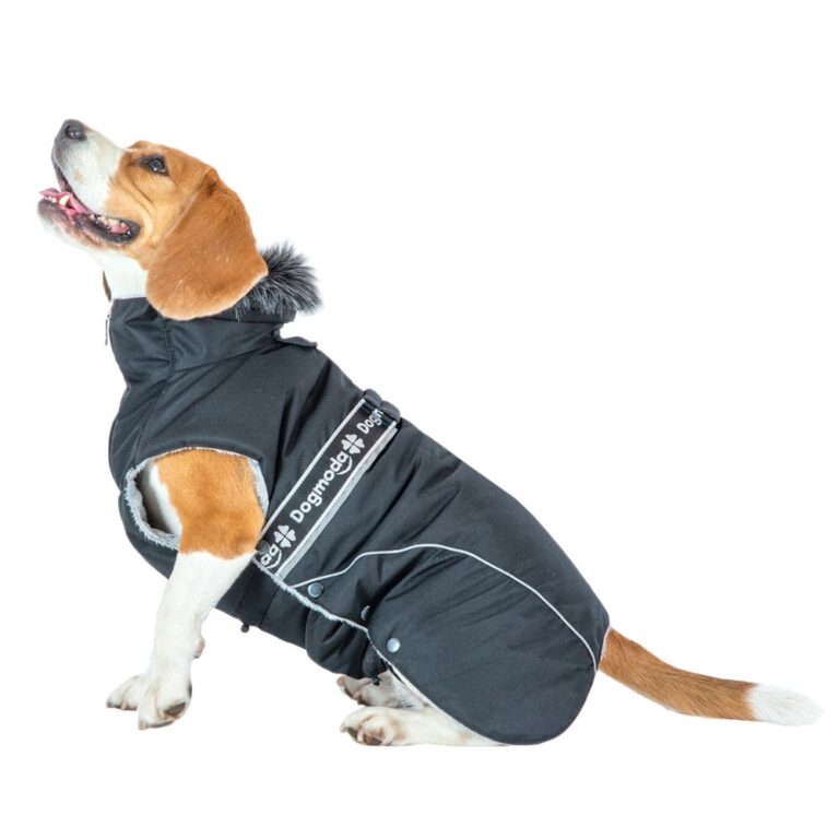 Попона зимняя для собак Dogmoda унисекс-42 размер L — цена и наличие Попона зимняя для собак Dogmoda унисекс-42 размер L