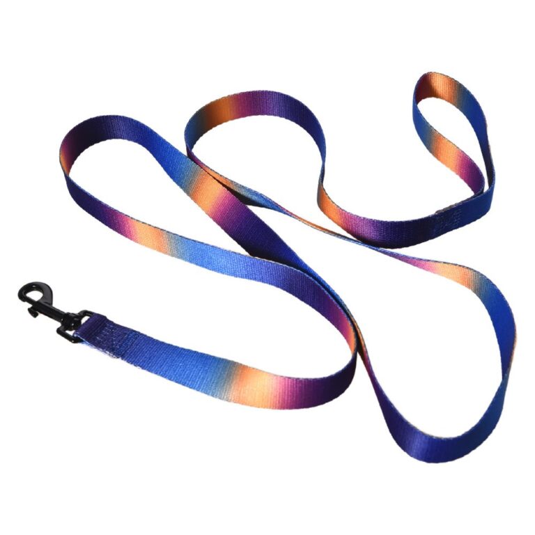 Поводок для собак Foxie Sunset L 2,5х200см разноцветный Поводок для собак Foxie Sunset L 2,5х200см разноцветный