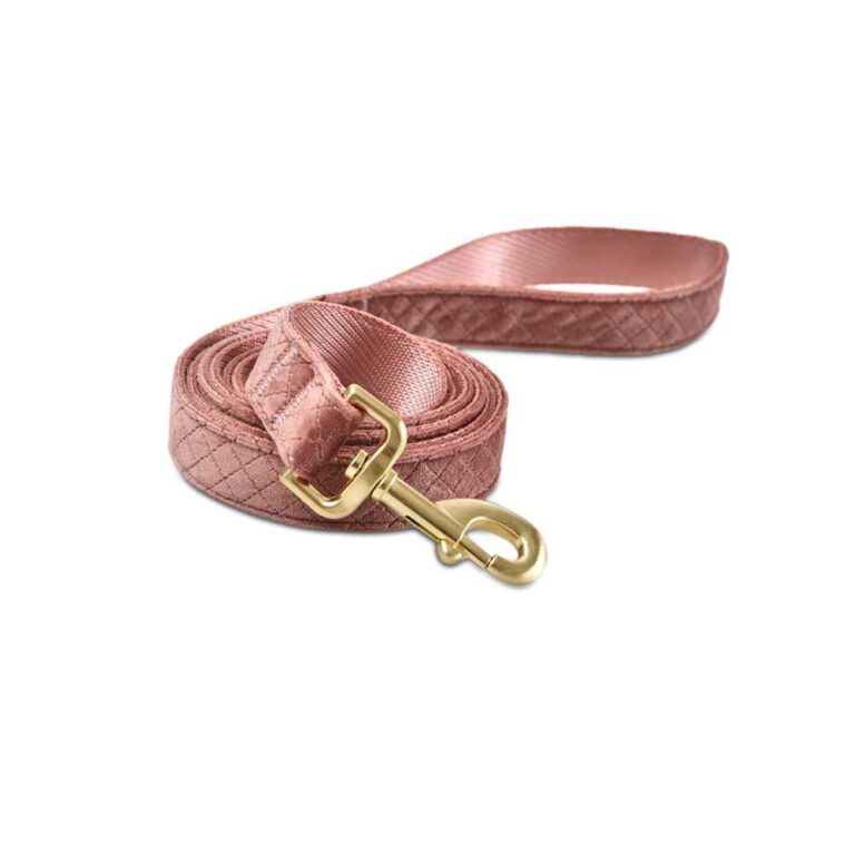 Поводок для собак Foxie Velvet 2,5×200см дымчатый розовый — цена и наличие Поводок для собак Foxie Velvet 2,5×200см дымчатый розовый