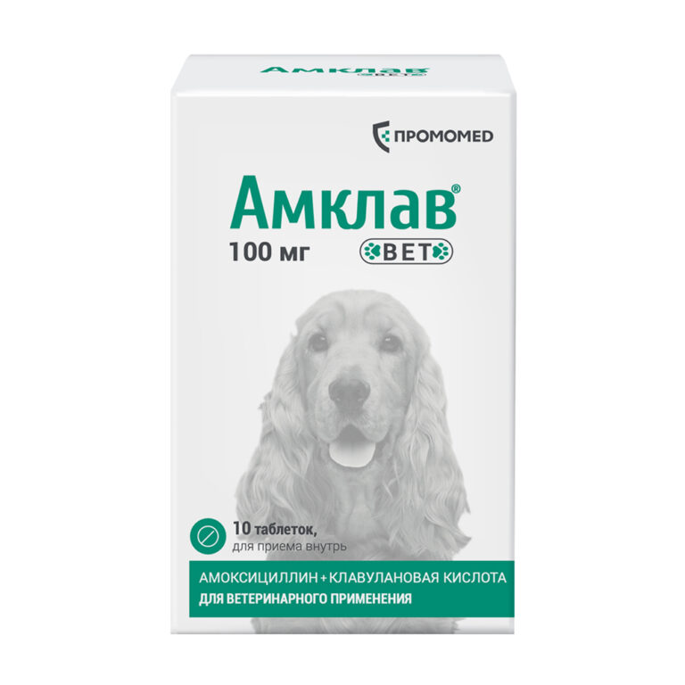 Препарат антибактериальный АМКЛАВ ВЕТ для собак и кошек 100мг 10табл (банка) (рецепт) — цена и наличие Препарат антибактериальный АМКЛАВ ВЕТ для собак и кошек 100мг 10табл (банка) (рецепт)