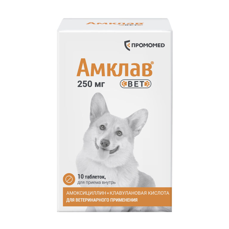 Препарат антибактериальный АМКЛАВ ВЕТ для собак и кошек 250мг 10табл (банка) (рецепт) Препарат антибактериальный АМКЛАВ ВЕТ для собак и кошек 250мг 10табл (банка) (рецепт)
