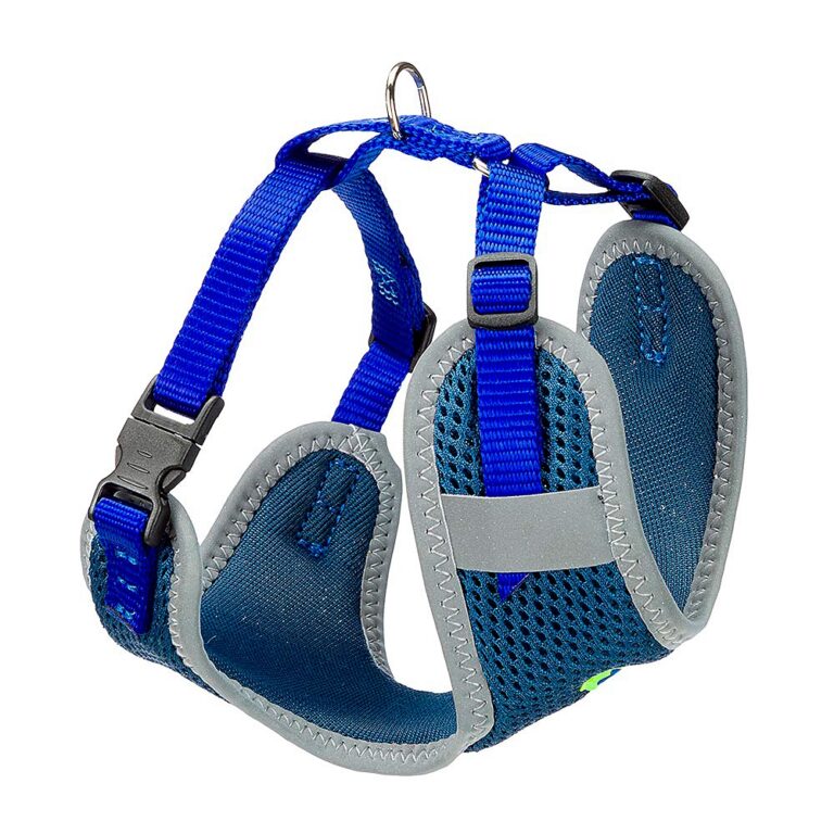 Шлейка для собак FERPLAST Nikita XS из дышащего нейлона, синяя, A: 19-26 см B: 28-40 см 10 мм — цена и наличие Шлейка для собак FERPLAST Nikita XS из дышащего нейлона, синяя, A: 19-26 см B: 28-40 см 10 мм