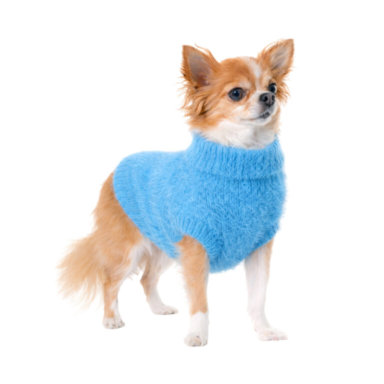Свитер для собак Foxie Blue Mischief XS (длина спины 25см) синий Свитер для собак Foxie Blue Mischief XS (длина спины 25см) синий