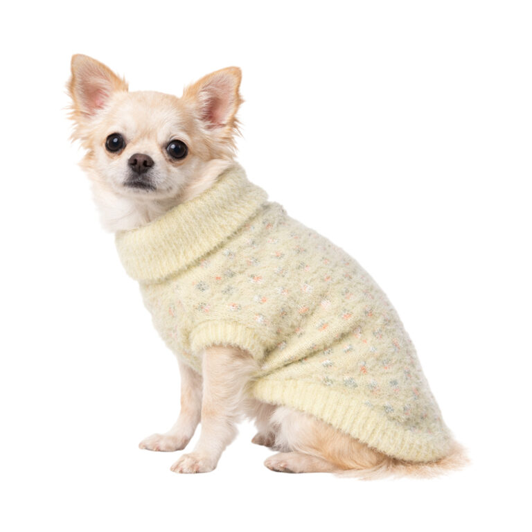 Свитер для собак Foxie Fluffy cloud белый р. S (длина спины 30см, обхват груди 38-45см) Свитер для собак Foxie Fluffy cloud белый р. S (длина спины 30см, обхват груди 38-45см)