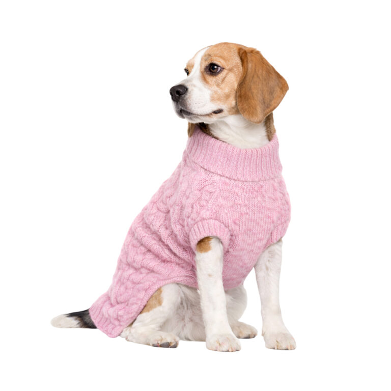 Свитер для собак Foxie Сuddly Pink L (длина спины 40см) розовый — цена и наличие Свитер для собак Foxie Сuddly Pink L (длина спины 40см) розовый
