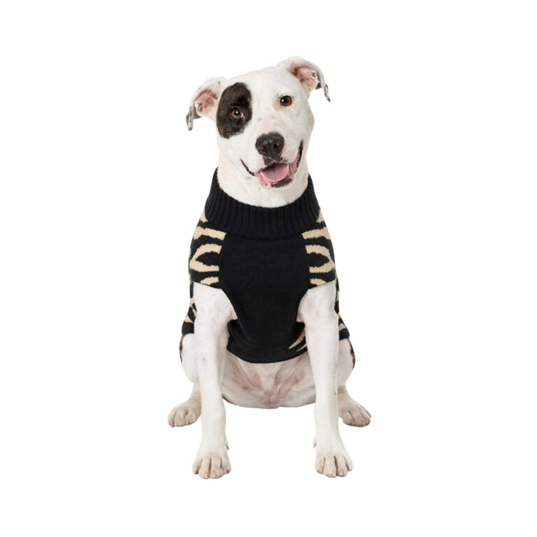 Свитер для собак Foxie Vibes Only XL (длина спины 45см) анималистичный Свитер для собак Foxie Vibes Only XL (длина спины 45см) анималистичный
