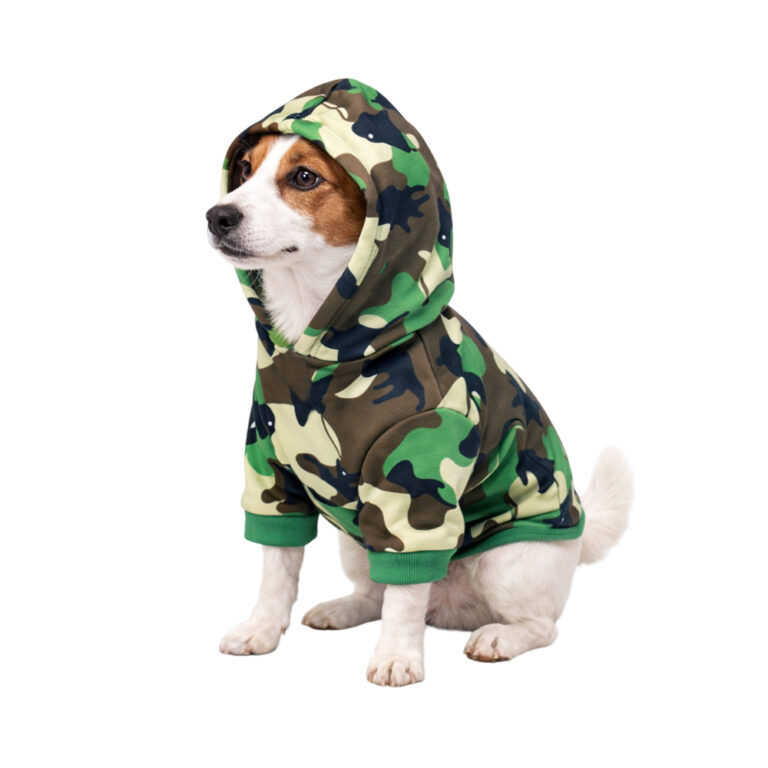 Толстовка для собак Foxie Camouflage хаки р. M (длина спины 35см, обхват груди 48-52см) — цена и наличие Толстовка для собак Foxie Camouflage хаки р. M (длина спины 35см, обхват груди 48-52см)
