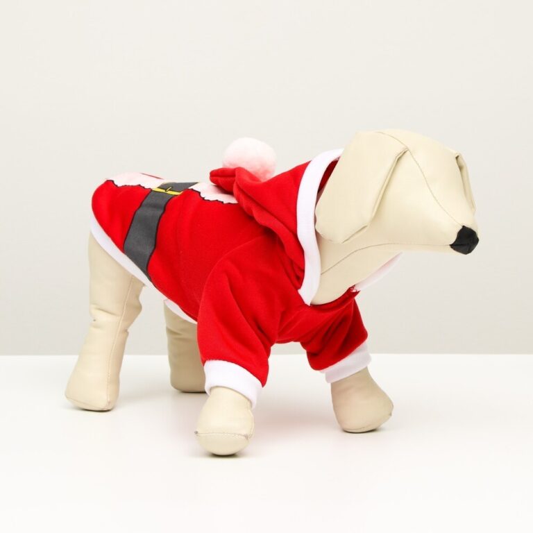 Толстовка для животных SIMA LAND Santa, XL (ДС 40см, ОГ 50см) Толстовка для животных SIMA LAND Santa, XL (ДС 40см, ОГ 50см)